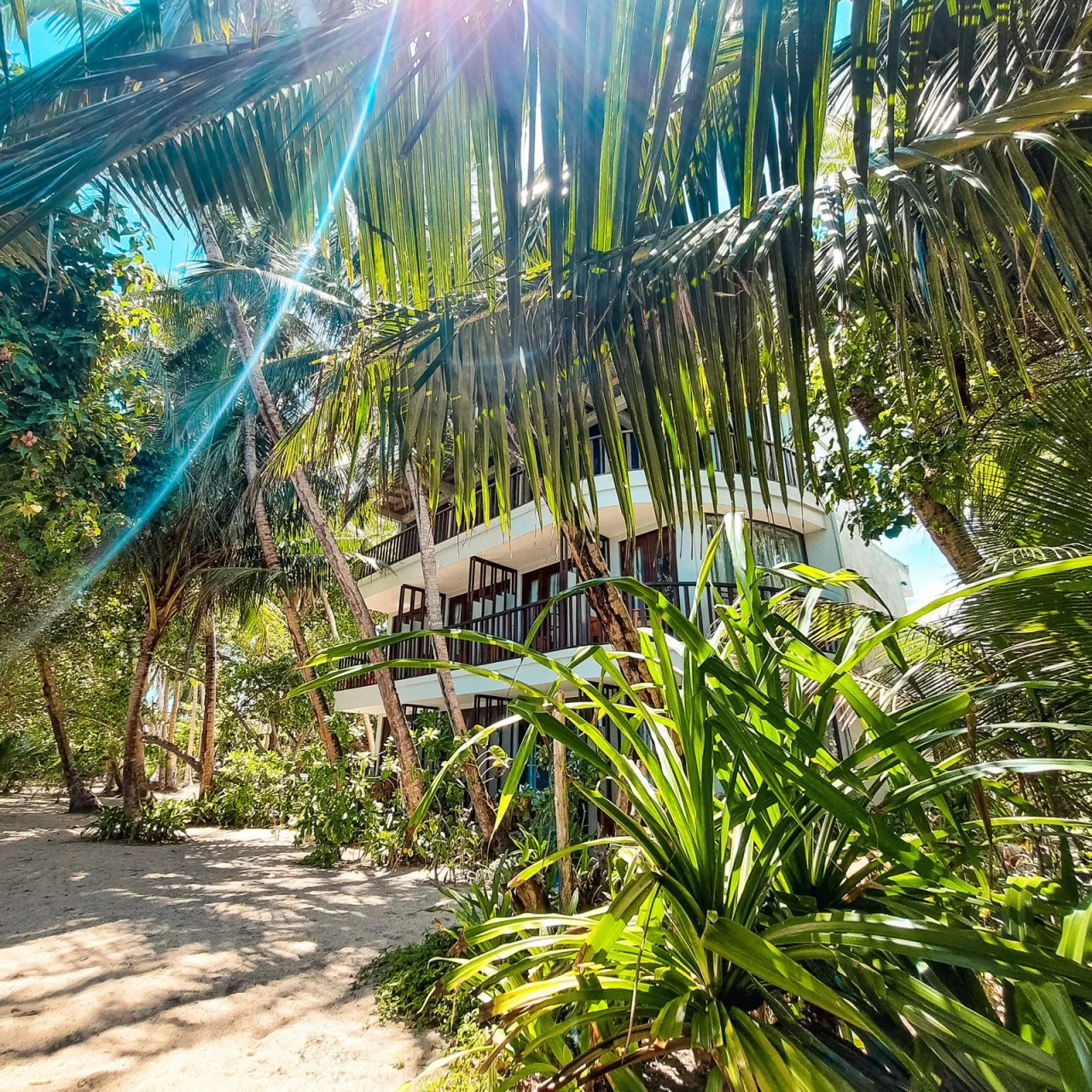 Thundi Sea View · Ocean side · 12 rooms