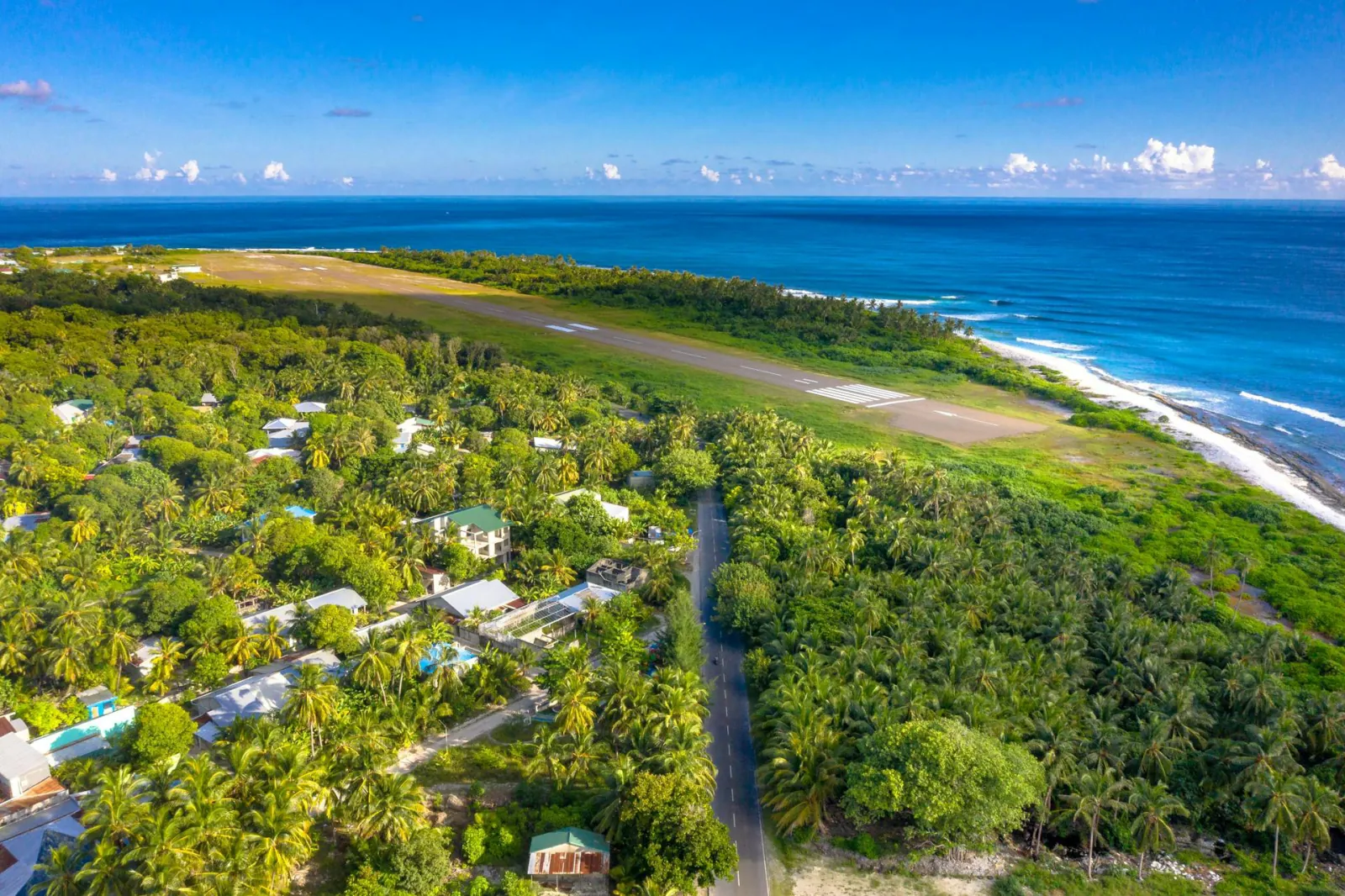 Fuvahmulah — Tiger Shark Pelagic