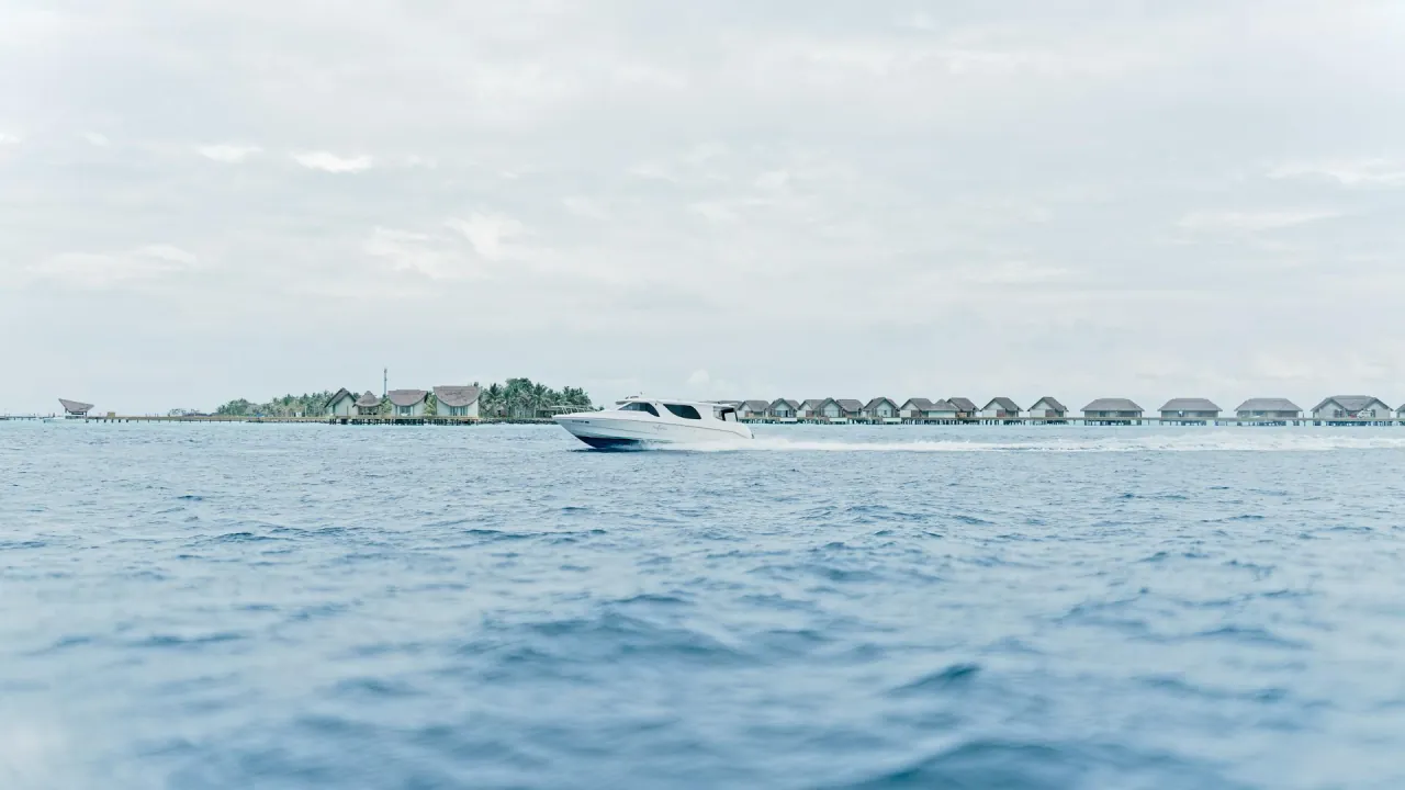 A sandbar at low tide
