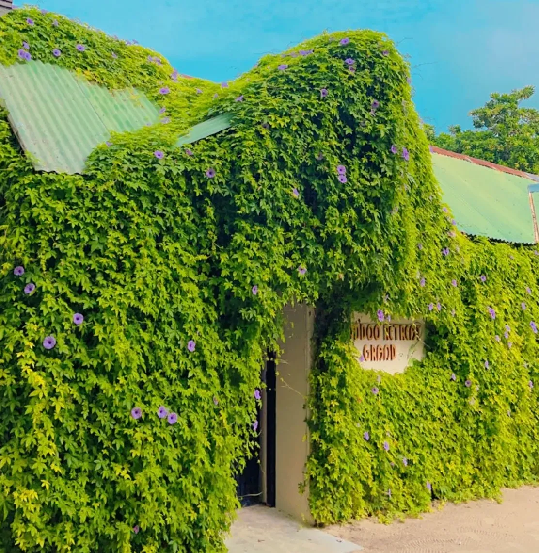 Thoddoo Retreat Grand · Garden setting · 10 rooms