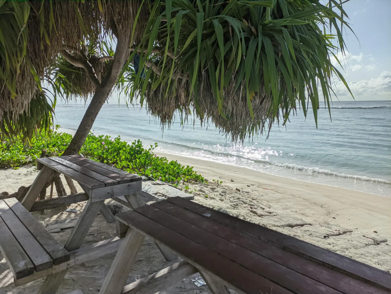 Tables under the palms