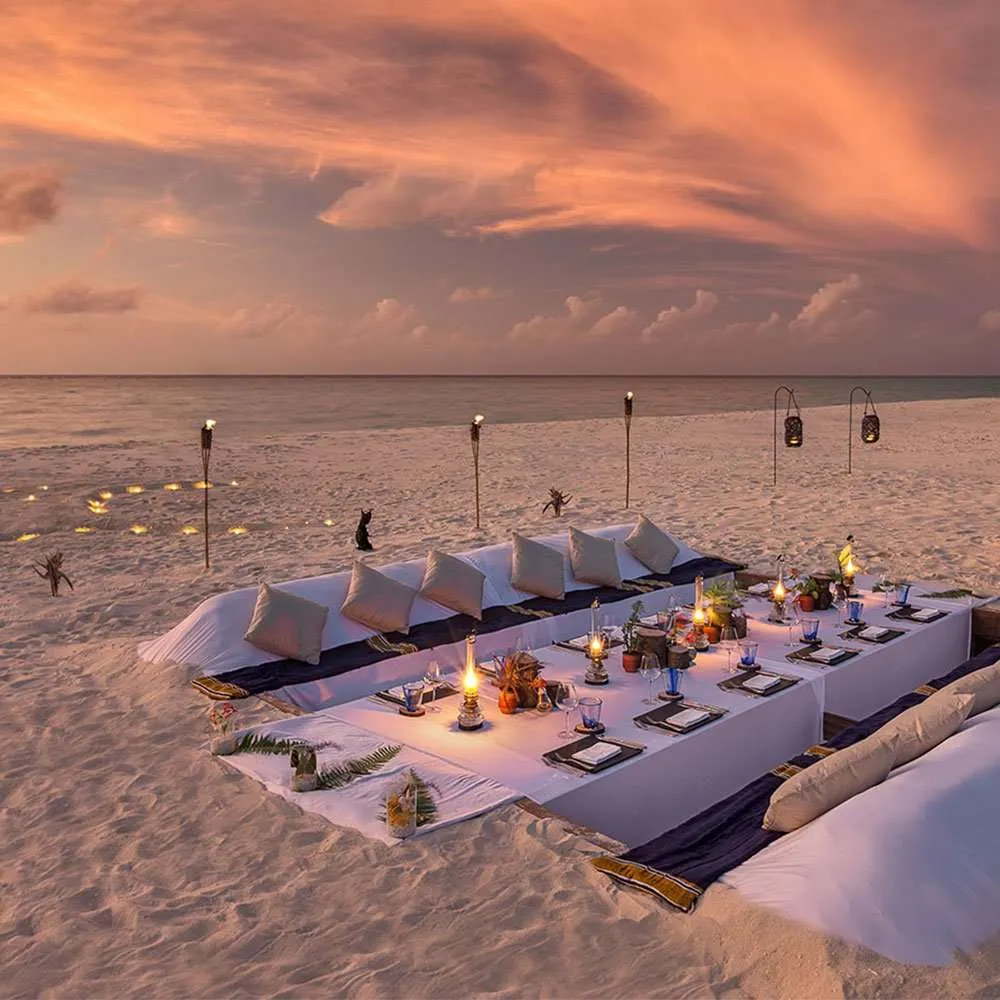 Dream Island · dinner