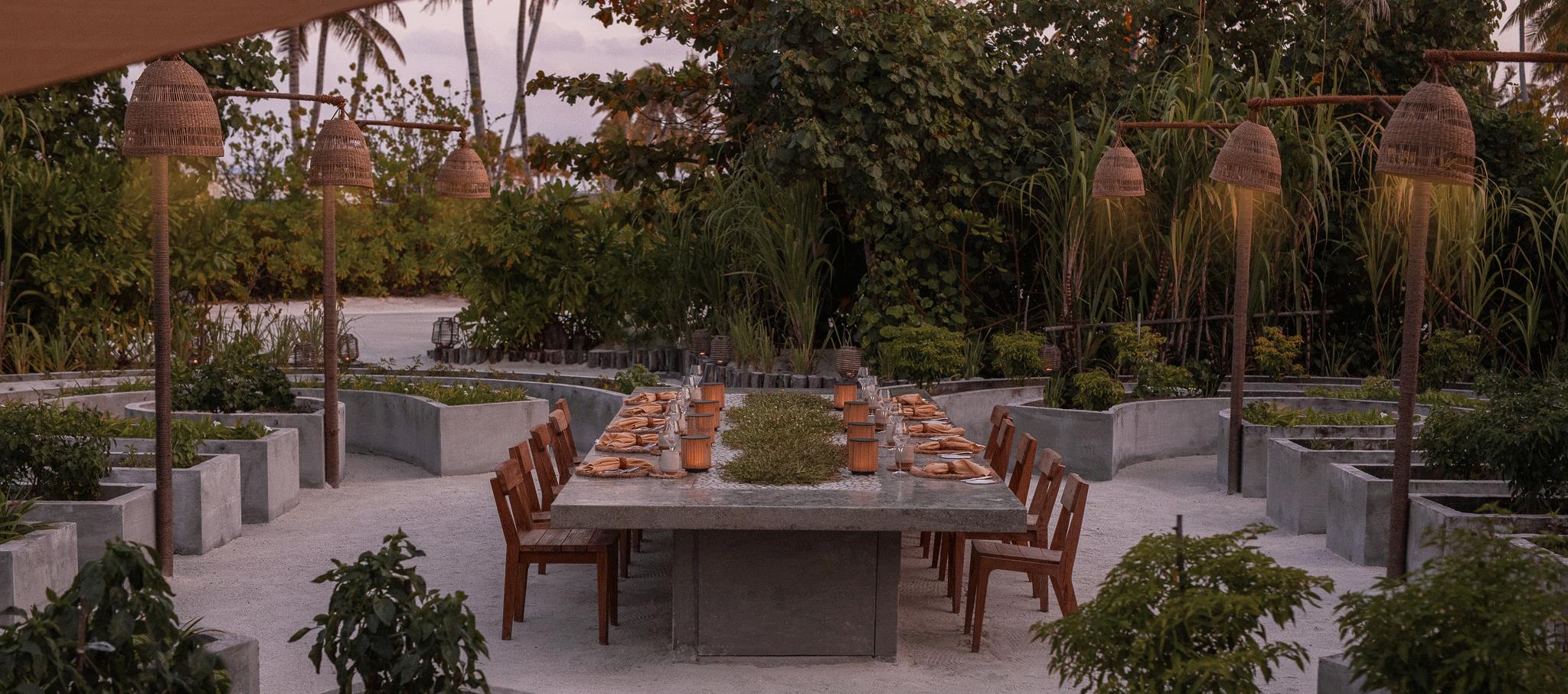 Roots · Modern plant-based · dinner
